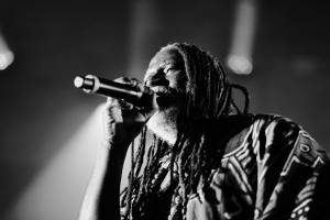 Xavier MARTINO - STUDIO MARTINO