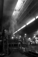 Hugues Willy KREBS - NEREIDES STUDIO