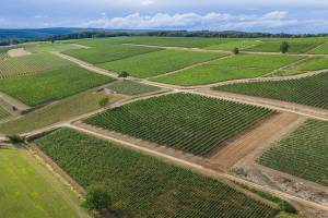 Yvan ARCHENAULT - Yvan ARCHENAULT Photographe