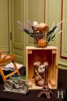 Martin D'HEROUVILLE - PHOTOGRAPHE MARTIN D'HEROUVILLE