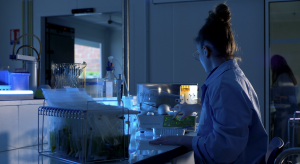 Benjamin ZERAH - BENJAMIN ZERAH